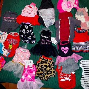 Dog clothes